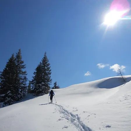 Appartamento Haus Fersterer Maria Alm am Steinernen Meer